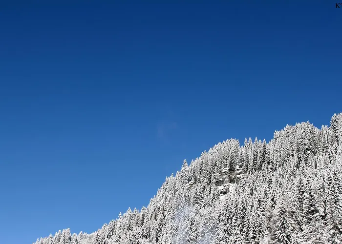 Πανσιόν Laerchenhof Sankt Jakob in Defereggen