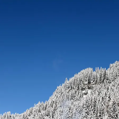 Konukevi Laerchenhof Sankt Jakob in Defereggen