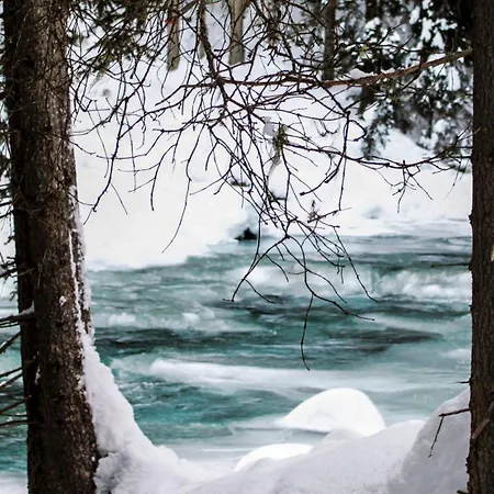 Konukevi Laerchenhof 3*